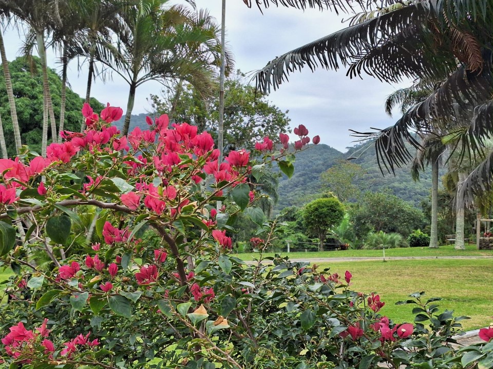 Encontro Anual da Comissão Organizadora em Florianópolis - SC, de 05 a 08/06/2025 : Trabalho e Orações